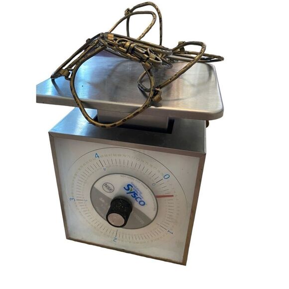 Square Adjustable Fashion Belt Rustic Celestial Accessories Funky - Picture 9 of 9